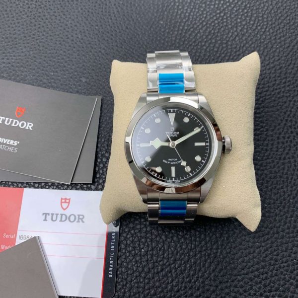 Tudor_14